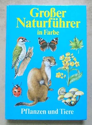 Immagine del venditore per Gro�er Naturf�hrer in Farbe. Pfanzen und Tiere. venduto da Antiquariat B�cherParadies
