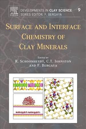 Bild des Verk�ufers f�r Surface and Interface Chemistry of Clay Minerals zum Verkauf von GreatBookPrices