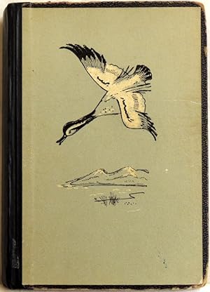 Immagine del venditore per Am Ufer des Sewan; Eine abenteuerliche Erz�hlung aus dem Leben junger Naturforscher venduto da Peter-Sodann-Bibliothek eG