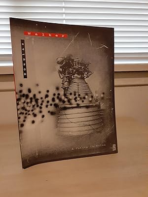 Immagine del venditore per Douglas Walker: A Picture in Ruins venduto da Frabjous Books