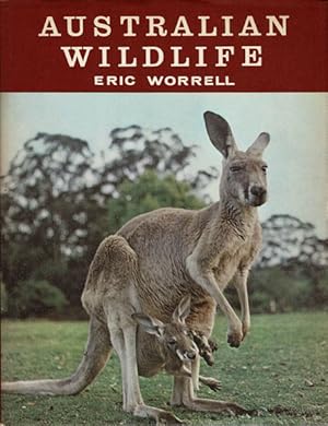 Seller image for Australian Wildlife: Best-Known Birds, Mammals, Reptiles, Plants of Australia and New Guinea for sale by Sch�ling Buchkurier