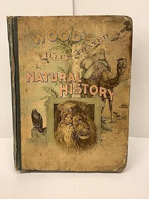 Natural History Wood's Natural History by Rev J G Wood Natural History Wood's Natural History by Rev J G Wood