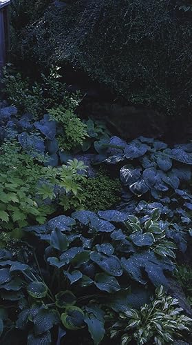 Seller image for Canadian Gardening's Great Ideas For the Garden: Over 100 Easy and Creative Ways to give your garden the look you want. [ Fences and gates -- Garden structures -- Front yards -- Paths and steps -- Using plants for effect -- Container gardening -- Canada's hardiness zones map -- Resource material] for sale by Joseph Valles - Books