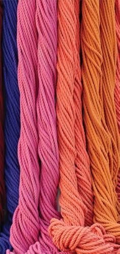 Bild des Verk�ufers f�r Radical Vertical Inquiries zum Verkauf von GreatBookPricesUK