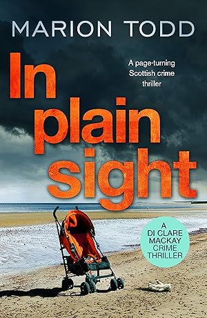 Bild des Verk�ufers f�r In Plain Sight (Detective Clare MacKay) zum Verkauf von Zoom Books East