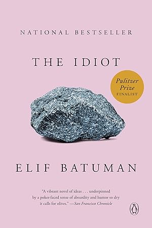 Imagen del vendedor de The Idiot: A Novel a la venta por Zoom Books East