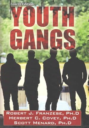 Seller image for Youth Gangs for sale by GreatBookPricesUK