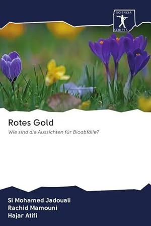 Imagen del vendedor de Rotes Gold | Wie sind die Aussichten f�r Bioabf�lle? a la venta por preigu