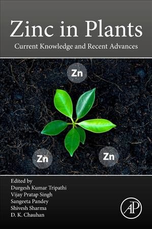 Seller image for Zinc in Plants : Current Knowledge and Recent Advances for sale by GreatBookPrices