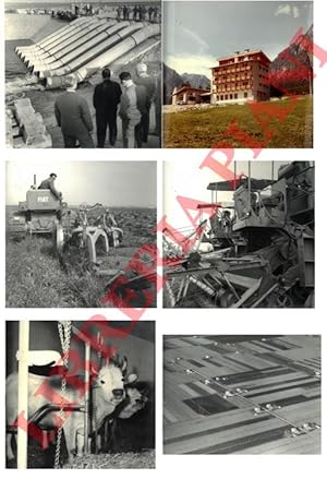 Colonizzazione del Delta Padano.