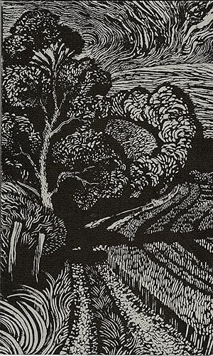 A Handful of Hares. Celebrating the Mystery & Fascination of Hares. With wood engravings by Anne ...