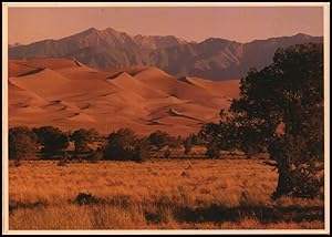 Imagen del vendedor de scenic postcard: Great Sand Dunes National Monument, Colorado a la venta por Mobyville