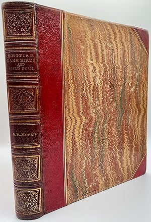 Seller image for BRITISH GAME BIRDS AND WILDFOWL. for sale by Kurt Gippert Bookseller (ABAA)