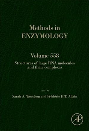 Immagine del venditore per Structures of Large Rna Molecules and Their Complexes venduto da GreatBookPricesUK