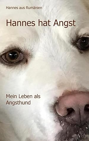 Immagine del venditore per Hannes hat Angst | Mein Leben als Angsthund venduto da preigu