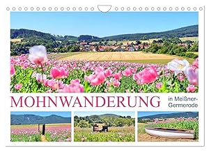 Seller image for Lectures on the Origin and Growth of the Psalms for sale by preigu