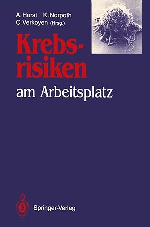 Bild des Verk�ufers f�r Krebsrisiken am Arbeitsplatz | Beitr�ge und Ergebnisse zum gleichlautenden Workshop im Rahmen des Programms "Arbeit und Technik" am 13. und 14. Dezember 1990 im Bundesministerium f�r Forschung und Technologie in Bonn zum Verkauf von preigu
