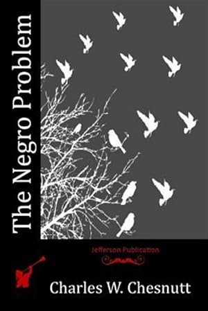 Image du vendeur pour Negro Problem mis en vente par GreatBookPrices