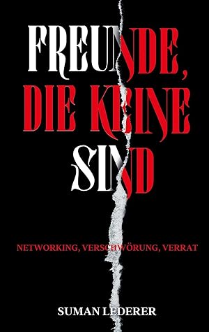 Seller image for FREUNDE, DIE KEINE SIND | NETWORKING, VERSCHW�RUNG, VERRAT for sale by preigu