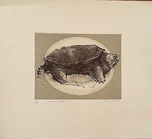 Immagine del venditore per Snapping Turtle venduto da White Square - Fine Books & Art