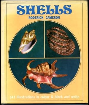 Immagine del venditore per Shells venduto da WeBuyBooks