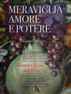 Immagine del venditore per Meraviglia Amore e Potere. Wonder Love and Power. Le pitture botaniche pi� ricche del mondo nella Loggia di Psiche di Raffaello e Giovanni da Udine. Villa Farnesina, Roma. The botanical paintings more comprehensive in the world in the Lodge of Psyche by Raphael and Giovanni da Udine. Villa La Farnesina, Rome. venduto da EDITORIALE UMBRA SAS