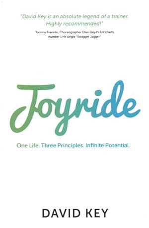 Seller image for Joyride : One Life, Three Principles, Infinite Potential for sale by GreatBookPricesUK