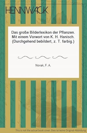 Bild des Verkufers fr Das groe Bilderlexikon der Pflanzen. Mit einem Vorwort von K. H. Hanisch. (Durchgehend bebildert, z. T. farbig.) zum Verkauf von HENNWACK - Berlins grtes Antiquariat