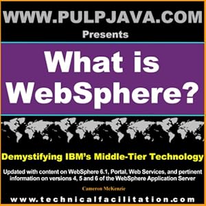 Seller image for What is WebSphere? Java, J2EE, Portal and Beyond! (Demystifying IBM's Middle Tier Technology, Vol. 1) for sale by ZBK Books
