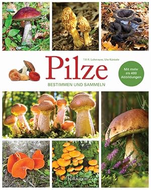 Seller image for Pilze - Bestimmen und Sammeln: Mit mehr als 400 Abbildungen for sale by Buchhandlung Loken-Books
