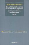 Seller image for VI.Breve historia feminista de la literatura espa�ola (en lengua catalana, gallega y vasca) for sale by Agapea Libros