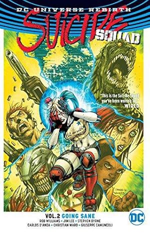 Bild des Verkufers fr Suicide Squad Vol. 2: Going Sane (Rebirth) zum Verkauf von WeBuyBooks