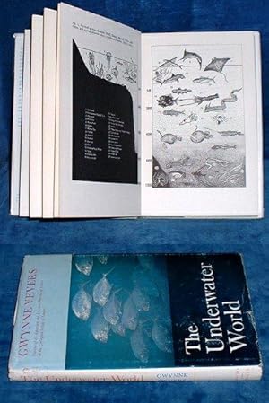 Seller image for THE UNDERWATER WORLD By Gwynne Vevers Curator of the Aquarium and Assistant Director of Science at the Zoological Society of London. With Line Drawings by Lesley Marshall for sale by Abbey Antiquarian Books
