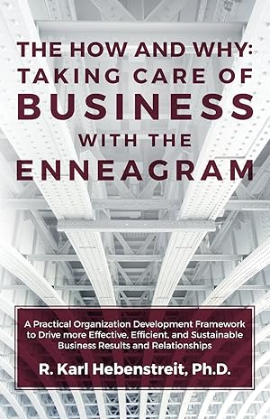 Immagine del venditore per The How and Why: Taking Care of Business with the Enneagram: A Practical Organization Development Framework to Drive more Effective, Efficient, and Sustainable Business Results and Relationships venduto da Goodwill of Colorado