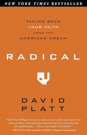 Imagen del vendedor de Radical: Taking Back Your Faith from the American Dream a la venta por Aspen Book Co.