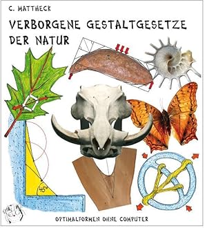 Bild des Verkufers fr Verborgene Gestaltgesetze der Natur: Optimalformen ohne Computer zum Verkauf von Studibuch