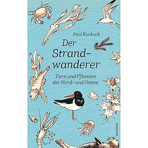 Immagine del venditore per Der Strandwanderer. Tiere und Pflanzen der Nord- und Ostsee: Der Naturf�hrer Klassiker. Das Bestimmungsbuch f�r K�ste, Inseln, Wattenmeer venduto da artbook-service
