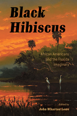Immagine del venditore per Black Hibiscus: African Americans and the Florida Imaginary (Paperback or Softback) venduto da BargainBookStores