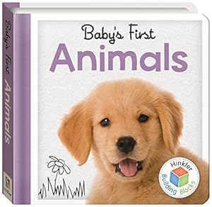 Immagine del venditore per Baby's First Animals (Building Blocks) venduto da Bay State Book Company