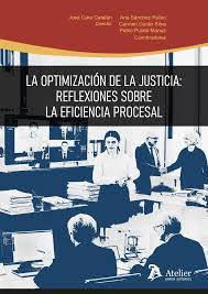 Imagen del vendedor de Optimaci�n de la justicia: reflexiones sobre la eficiencia procesal a la venta por Vuestros Libros
