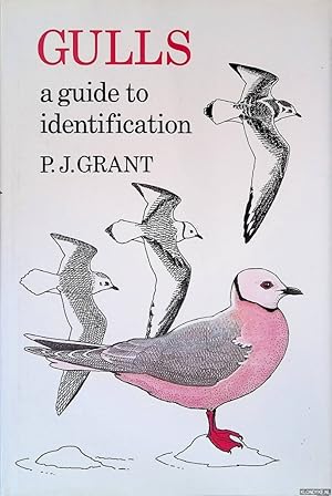 Immagine del venditore per Gulls: A Guide to Identification venduto da Klondyke