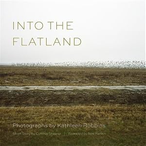 Imagen del vendedor de Into the Flatland a la venta por GreatBookPricesUK