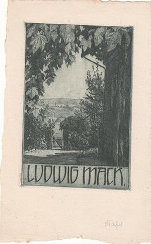 Seller image for Ludwig Mack. Blick auf Gartent�r. for sale by Antiquariat  Braun
