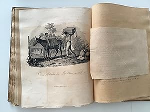 Bild des Verkufers fr Reise nach Brasilien in den Jahren 1815 bis 1817. zum Verkauf von Michael Steinbach Rare Books