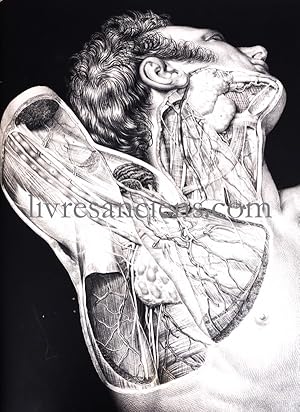 Image du vendeur pour Trait complet de l'anatomie de l'Homme comprenant la mdecine opratoire avec planches lithographies d'aprs nature par N.H. Jacob. Ouvrage divis en quatre parties : l'anatomie descriptive, anatomie gnrale, anatomie chirurgicale, anatomie philosophique [suivi de ] DUCHAUSSOY. Supplments. Gurin. 1867-1868 mis en vente par Eric Zink Livres anciens