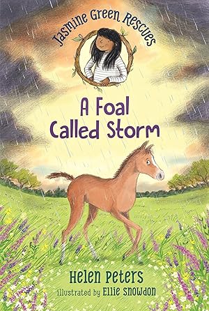 Immagine del venditore per Jasmine Green Rescues: A Foal Called Storm venduto da Zoom Books East
