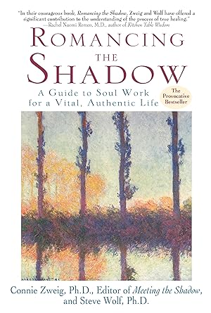 Seller image for Romancing the Shadow: A Guide to Soul Work for a Vital, Authentic Life for sale by Zoom Books Company