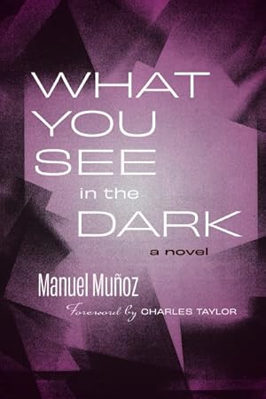 Imagen del vendedor de What You See in the Dark a la venta por GreatBookPrices