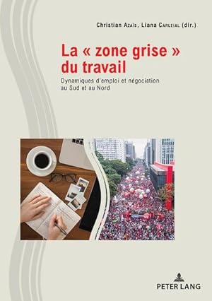 Immagine del venditore per La ' zone grise ' du travail venduto da buchversandmimpf2000