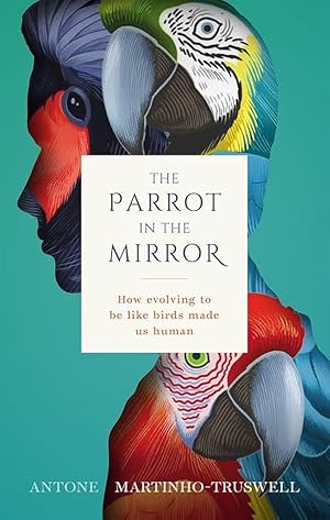 Imagen del vendedor de The Parrot in the Mirror: How evolving to be like birds makes us human a la venta por Big River Books